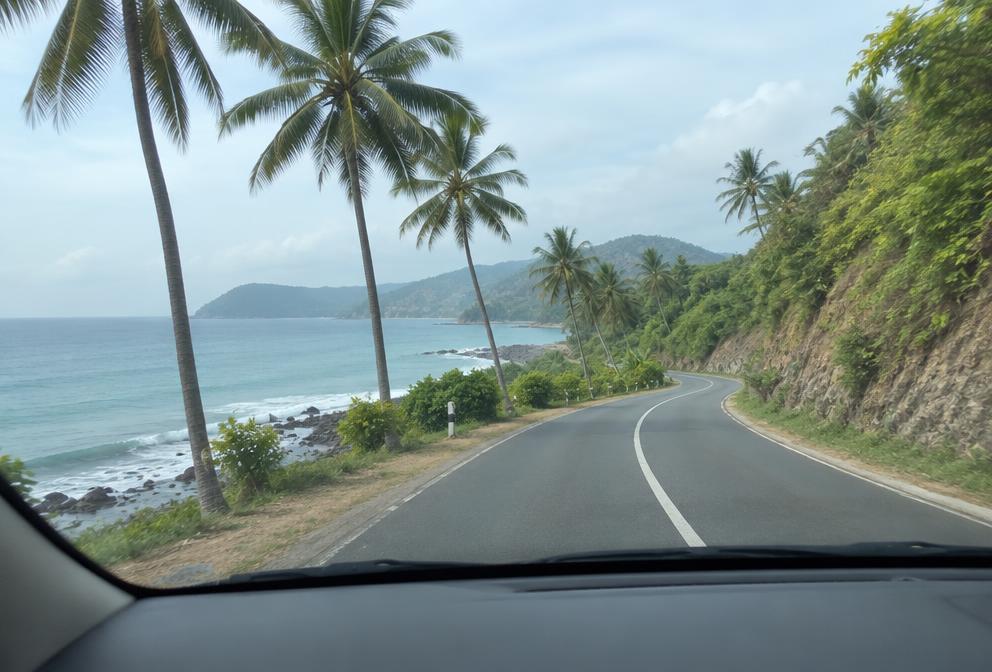 View through a car windscreen along a coastal road with palm trees