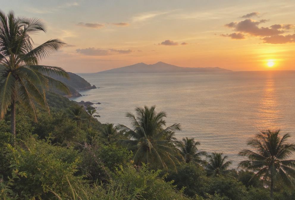 Evening light over the sea from a green coastal hillside