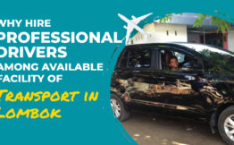 Why hire Professional Drivers Among Available Facility of Transport in Lombok
